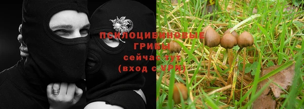 соль курить ск Осинники