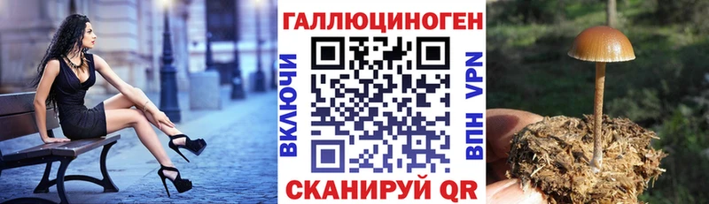 Псилоцибиновые грибы прущие грибы  Коряжма 