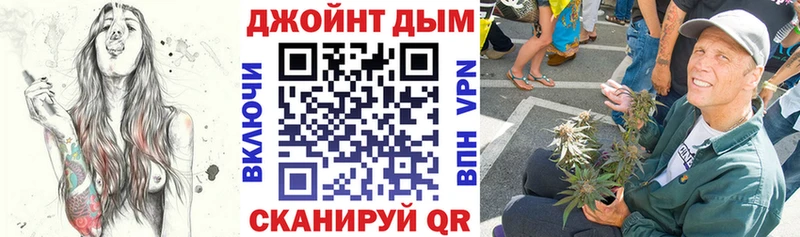 Конопля гибрид  Коряжма 